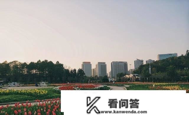 山东兰陵楼市的危机，激进的兰陵，低廉的房价，兰陵县楼市的潜力