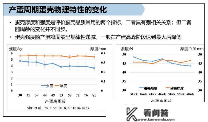 你算过吗，蛋壳破损率高会给鸡场形成几丧失？那6个原因必然要引起重视！