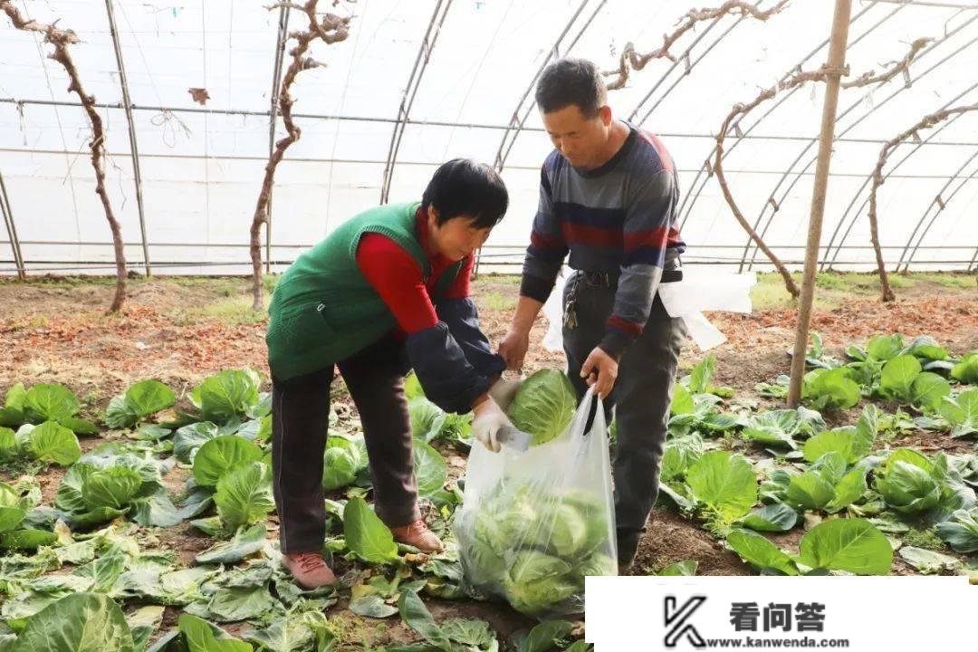 武清的桃花开了~