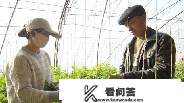 新春走下层丨玉门：清泉乡——“聚宝棚”种出“幸福果”