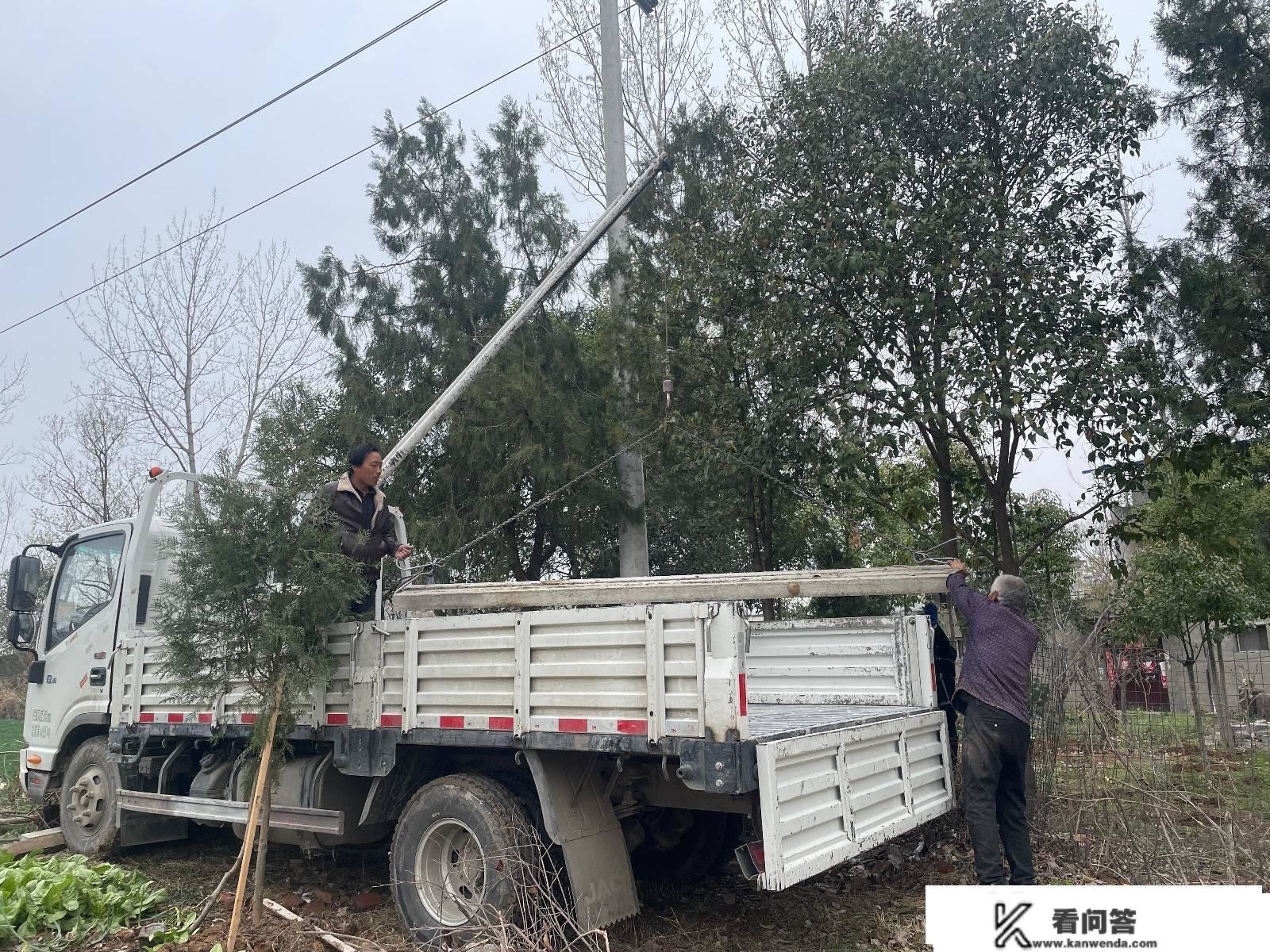 南阳暴雪后一葡萄园40亩大棚垮塌，61岁白果回到家就哭了