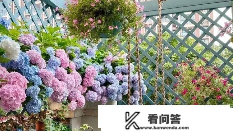 看看你买的花园是你的吗？买花园洋房必然要留意什么？