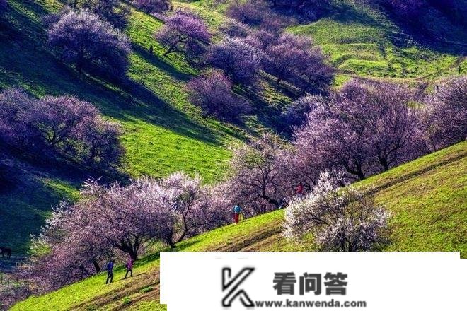 暖春季节最保举的7个宝藏景点，保藏起来，3-4月动身都合适！