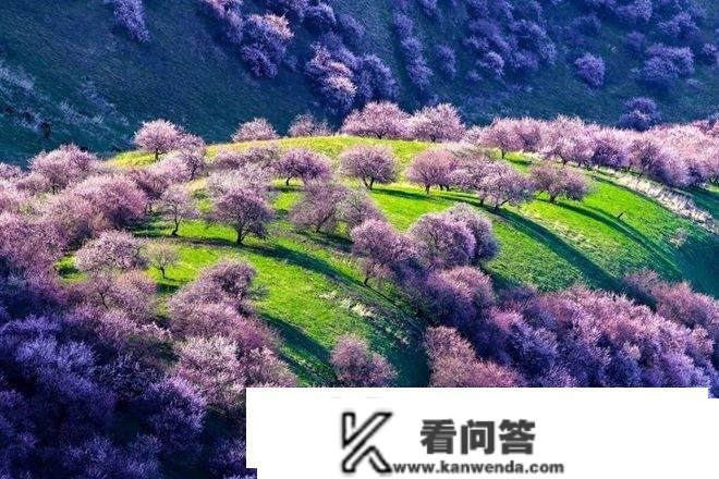 暖春季节最保举的7个宝藏景点，保藏起来，3-4月动身都合适！