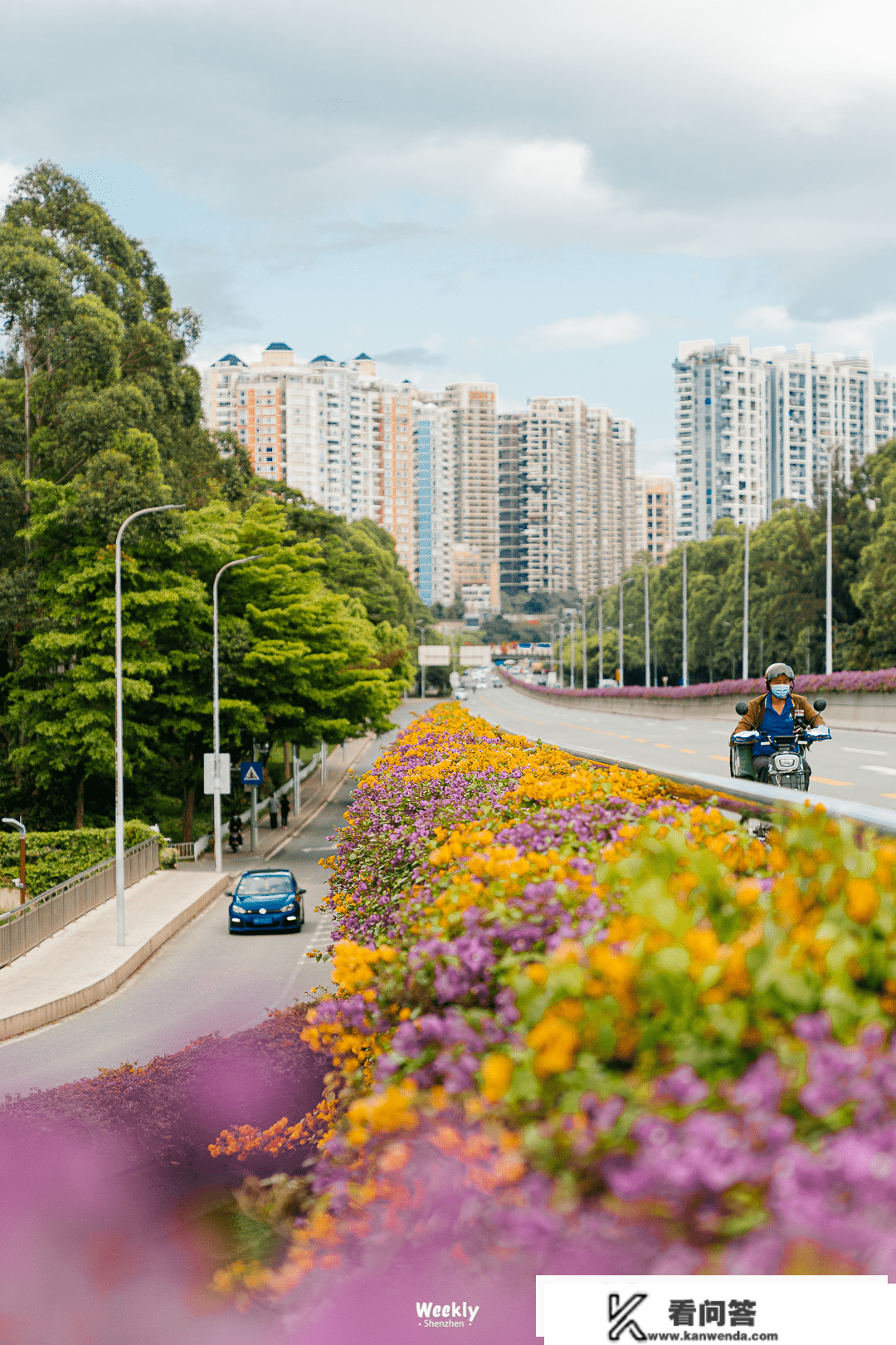 深圳「花海地图」，一年四时，每月差别！