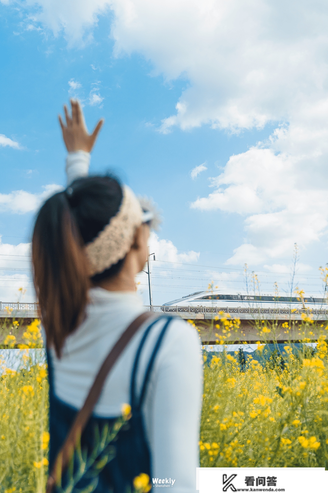 深圳「花海地图」，一年四时，每月差别！