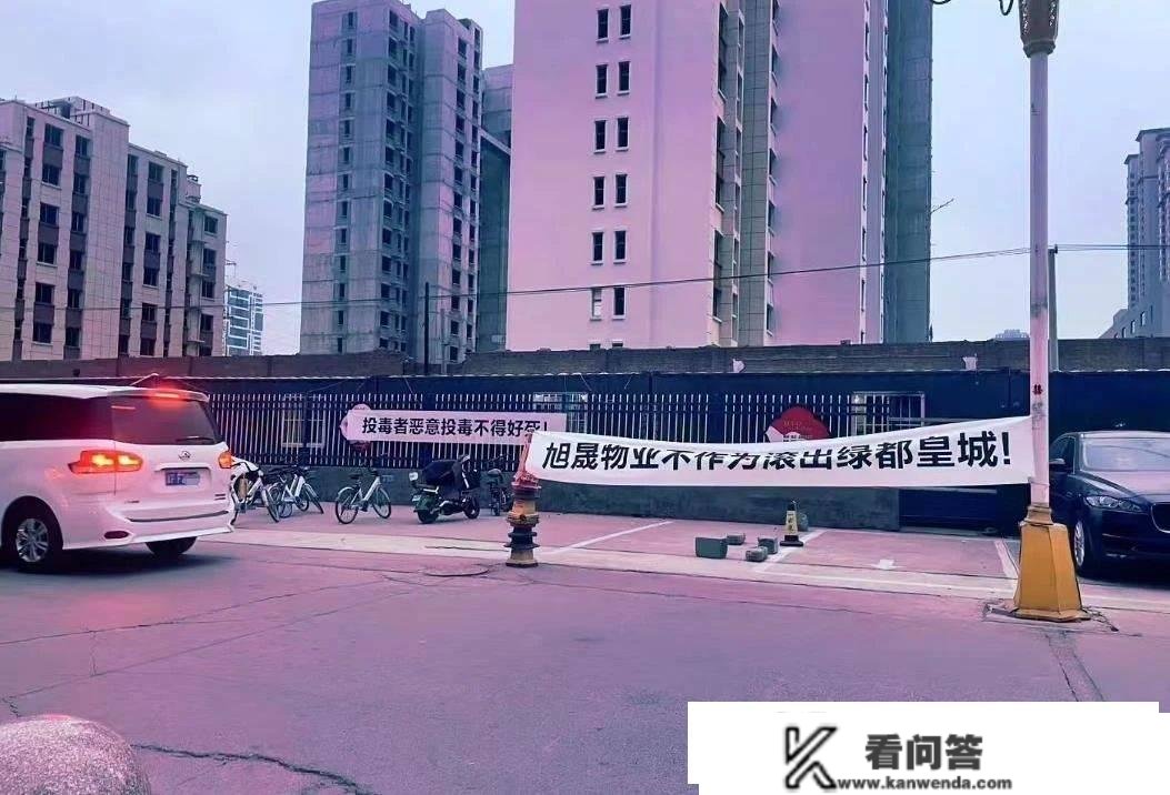 保定楼市：一条“狗命”引发了业主和物业之间的抵触