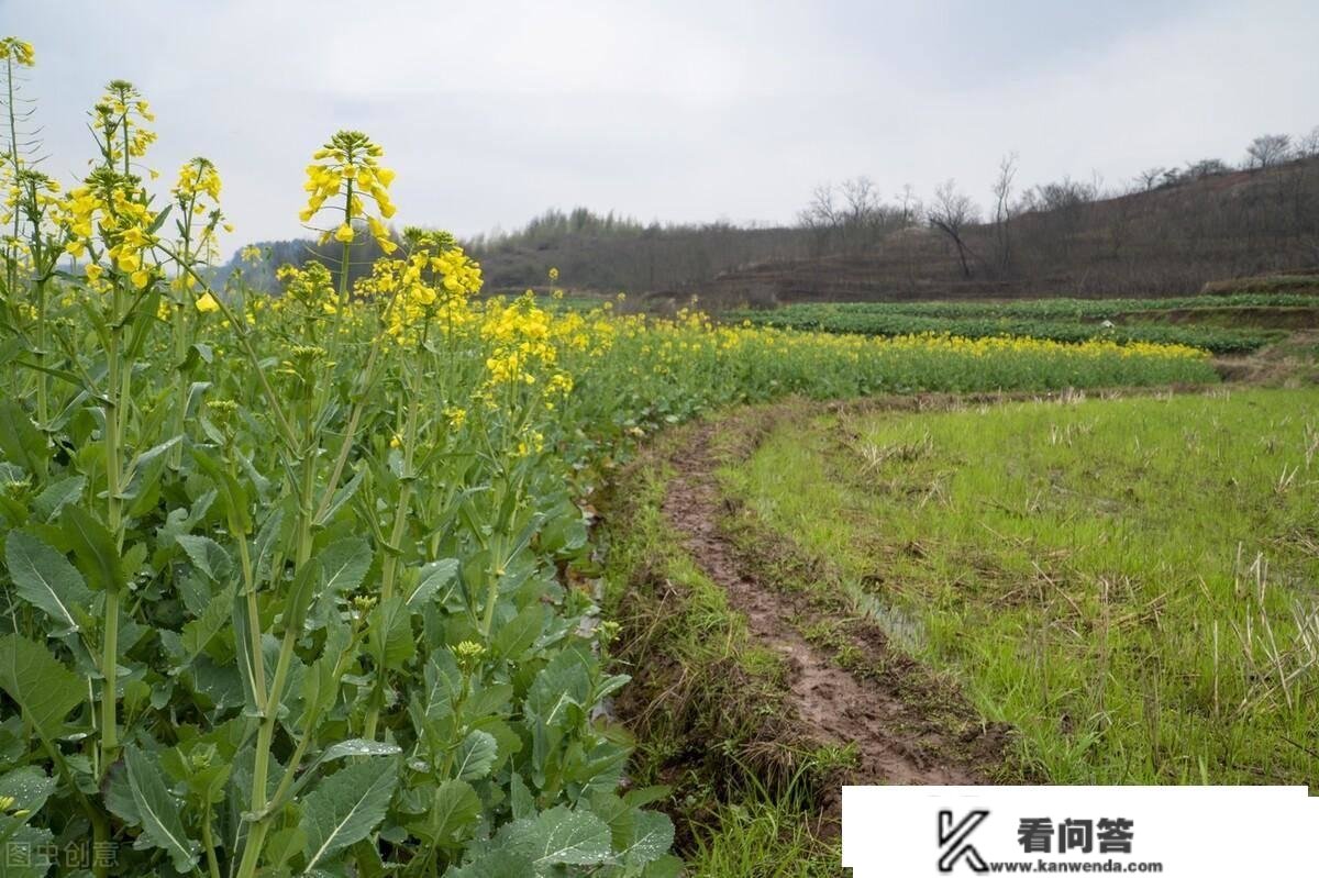 我爸曾经愚孝又爱体面，外婆和舅妈接济着我们，后来他想开了