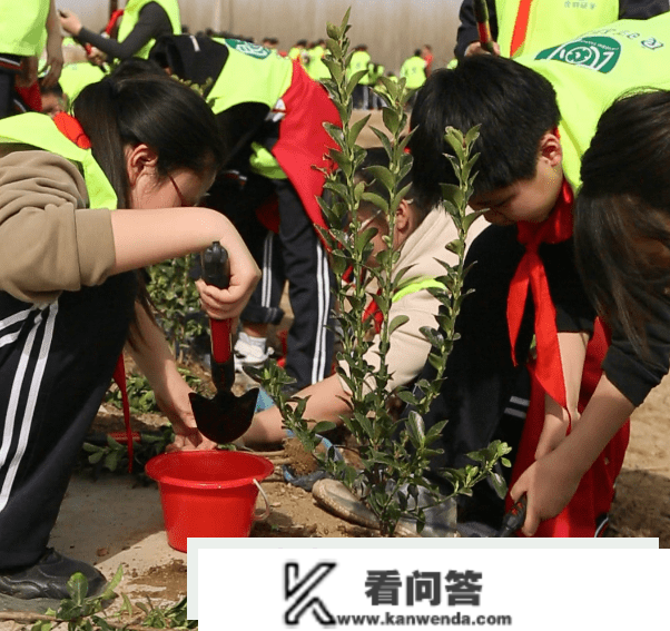 “我想开公司，帮忙更多贫苦的人”　植树节保定学生们“种”本身的愿望