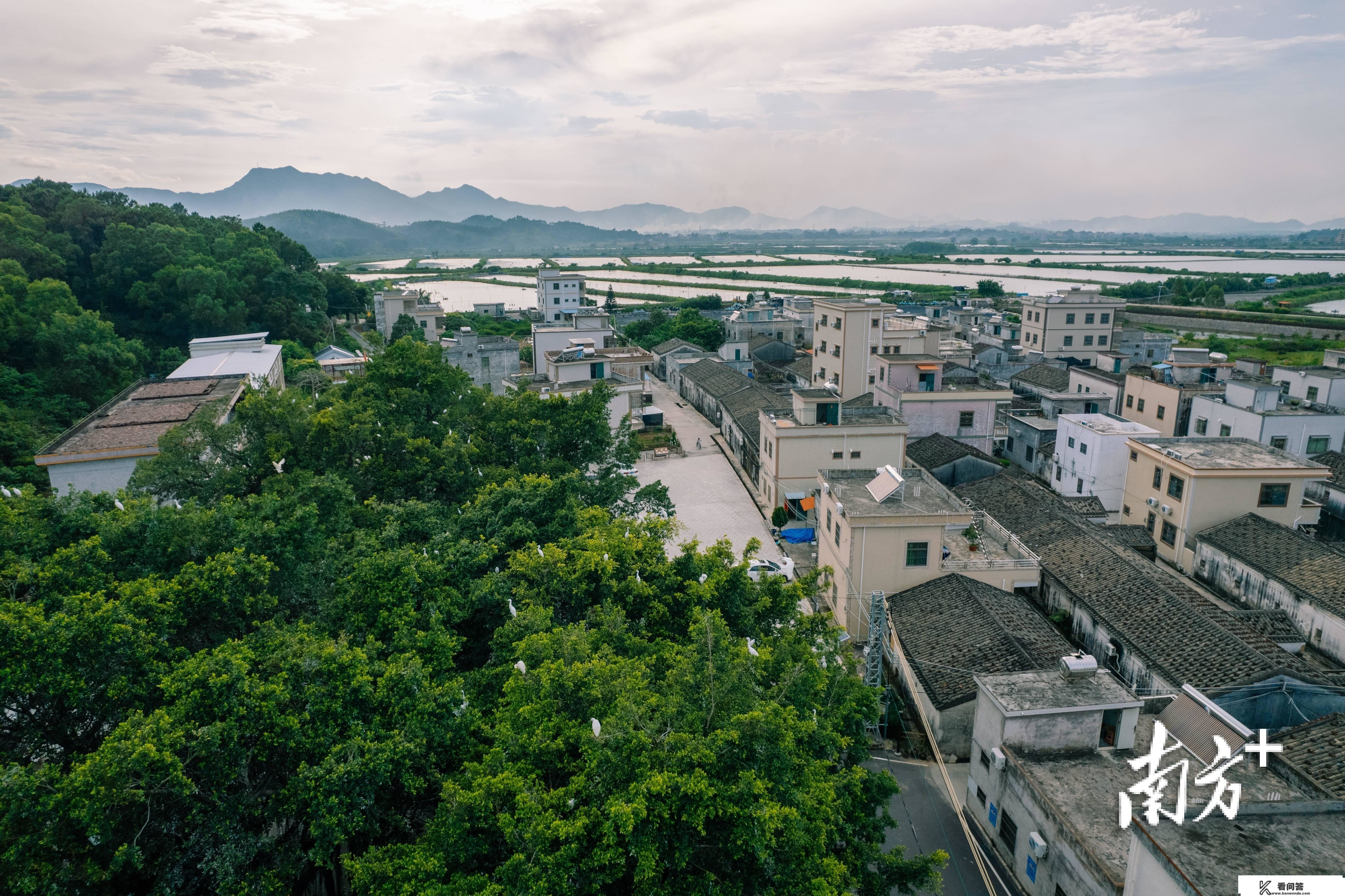 绿美广东看惠州｜山川之城，所见皆景