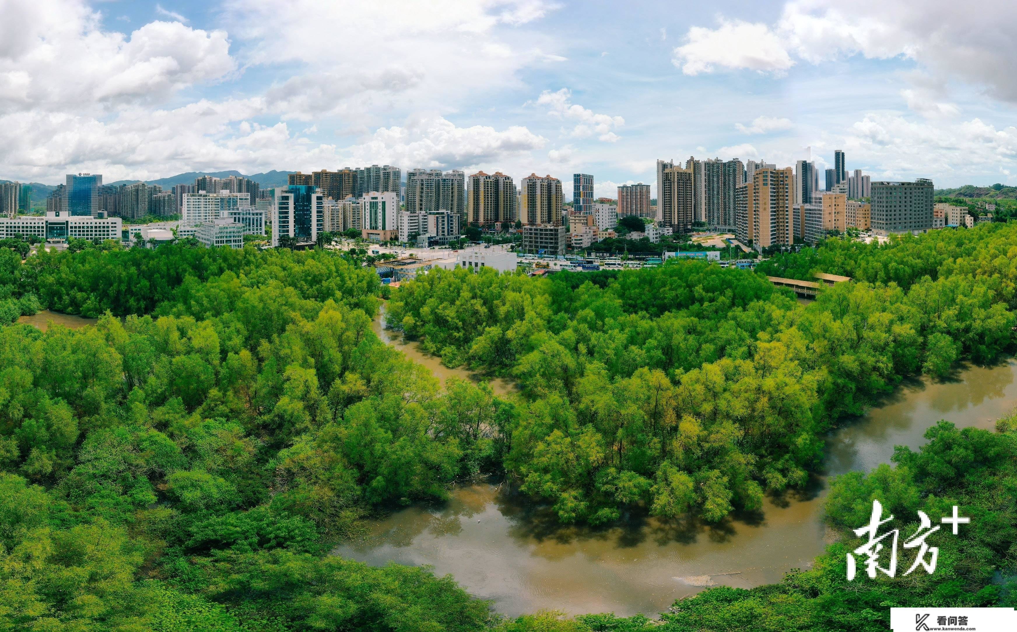 绿美广东看惠州｜山川之城，所见皆景