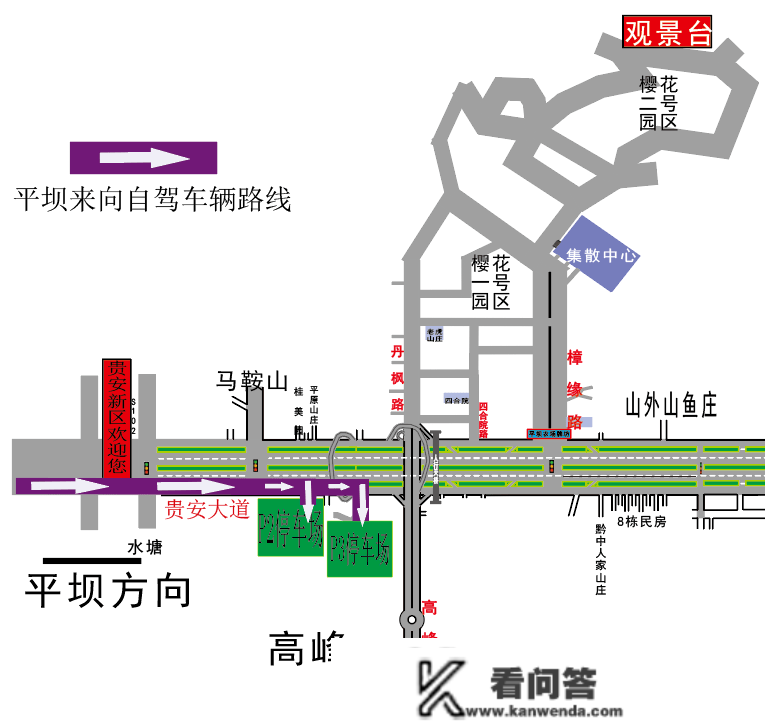 贵安赏花！车怎么开、怎么停？那份交警布告先收好！