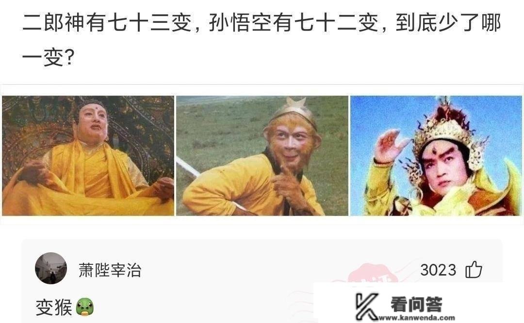 快乐神回复那是车的发型啊！