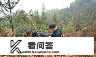 “三人不上坟，上坟辱祖先”，清明节上坟的讲究，有事理吗？