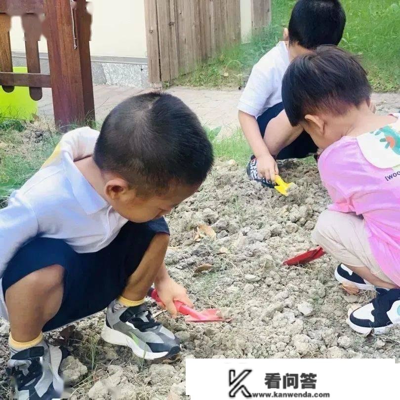 嘉兴那所幼儿园也搞半日体验了！户外亲子游戏、点心茶歇、语言启蒙...名额不多，抓紧来抢！都雅、好吃、好玩…