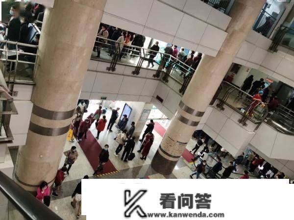 末结“十级孤单”？月入过万？揭秘福州陪诊师……