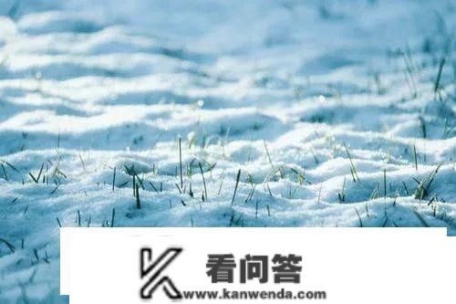 雨雪气候行车六大留意事项