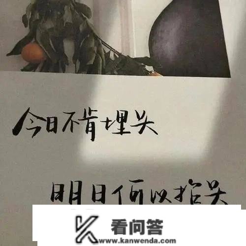 快手快分销入驻的前提？