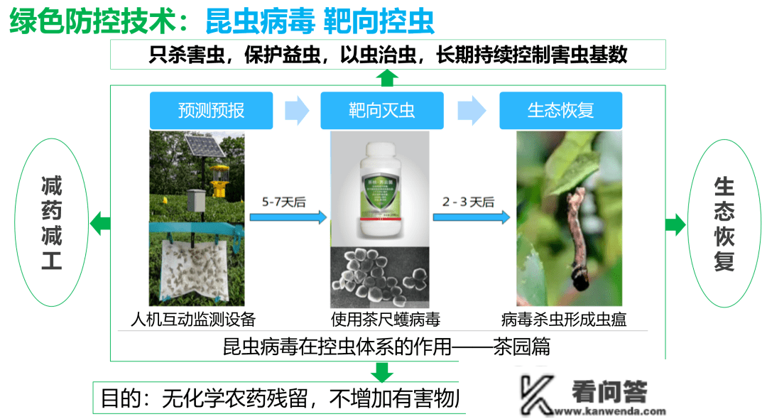 简讯：武大绿洲高管被聘为国际茶商业科技立异院专家