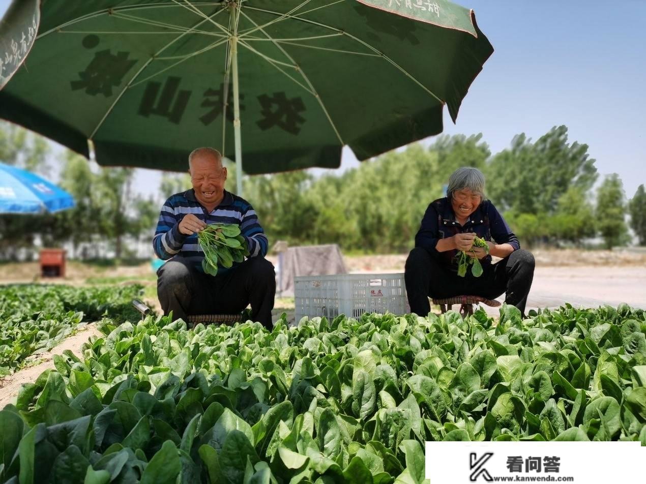 昔日“黄河滩”，今日“花果园”