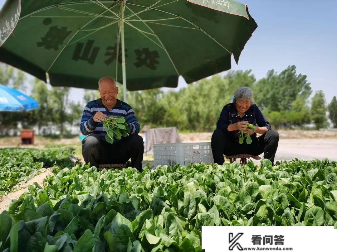 菏泽：昔日“黄河滩”，今日“花果园”