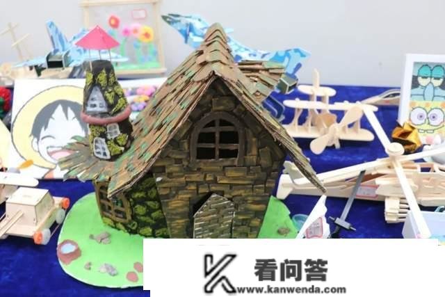 重庆市奉节县诗城路小学科技活动展掠影