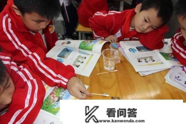 回眸2022丨重庆市奉节县诗城路小学学期清点