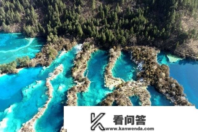 云南赚钱最多！四川旅客最多！“折耳根兄弟”那波赢麻了