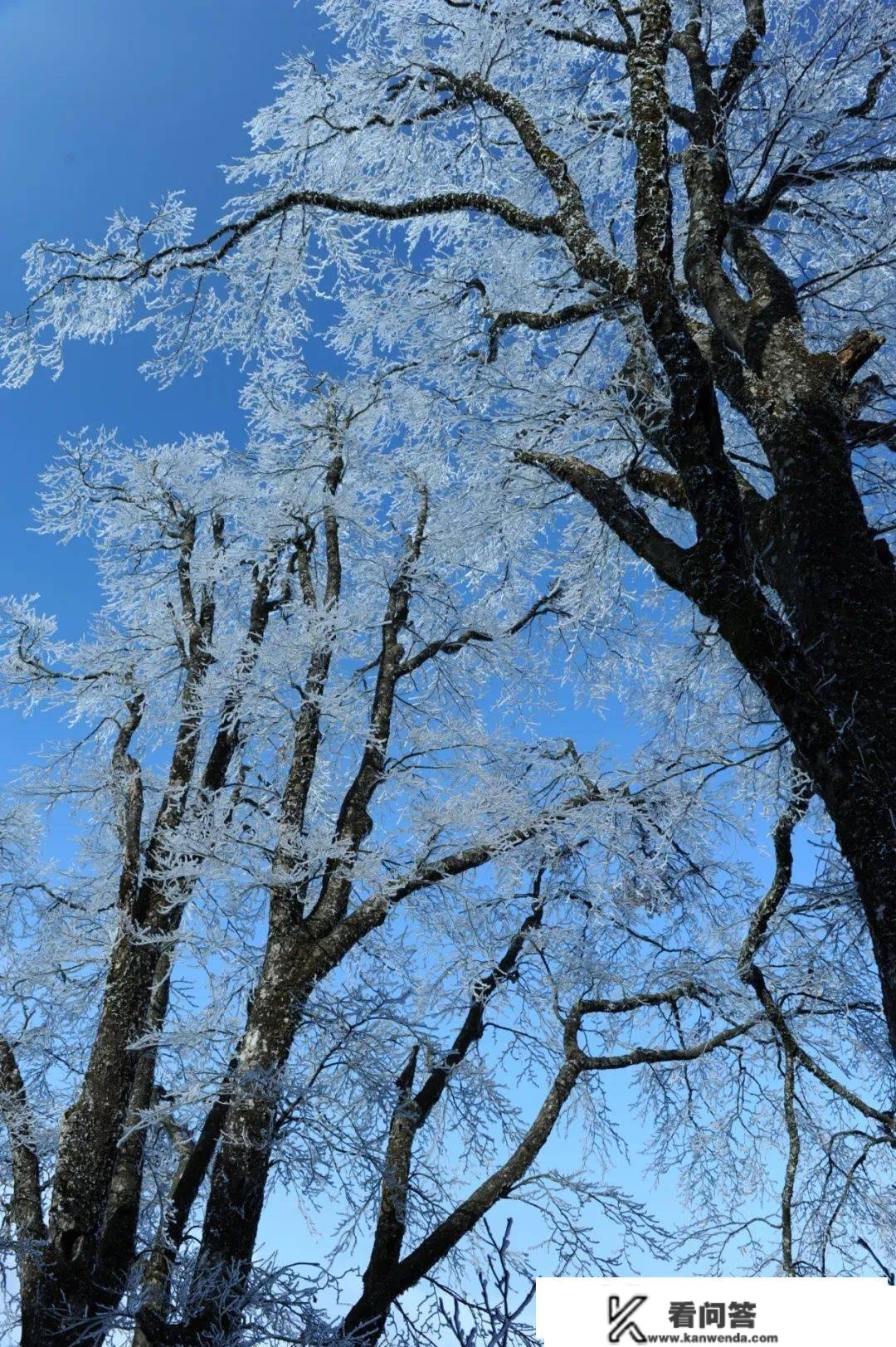 滑雪吗？对，就在广西