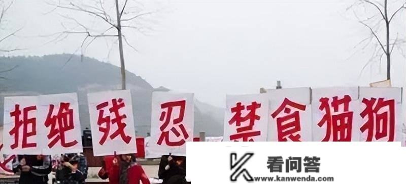 广西第三座城市争夺战：桂林vs玉林，到底谁的综合实力强？