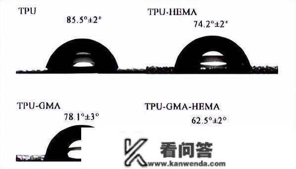 外表等离子体处置共聚接枝改性对热塑性聚氨酯的生物学性能影响