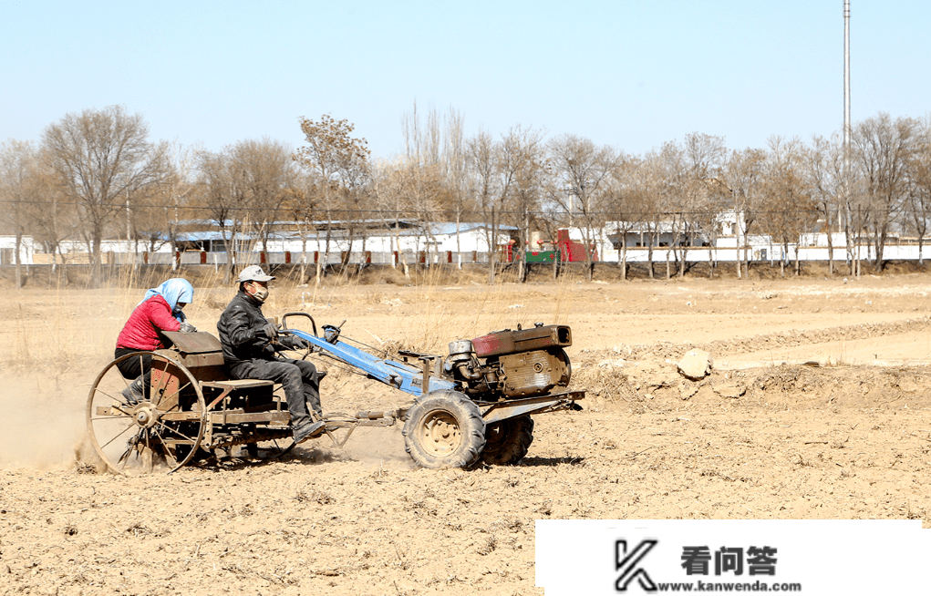 石嘴山70条“硬核”行动 全力鞭策首季“开门红”