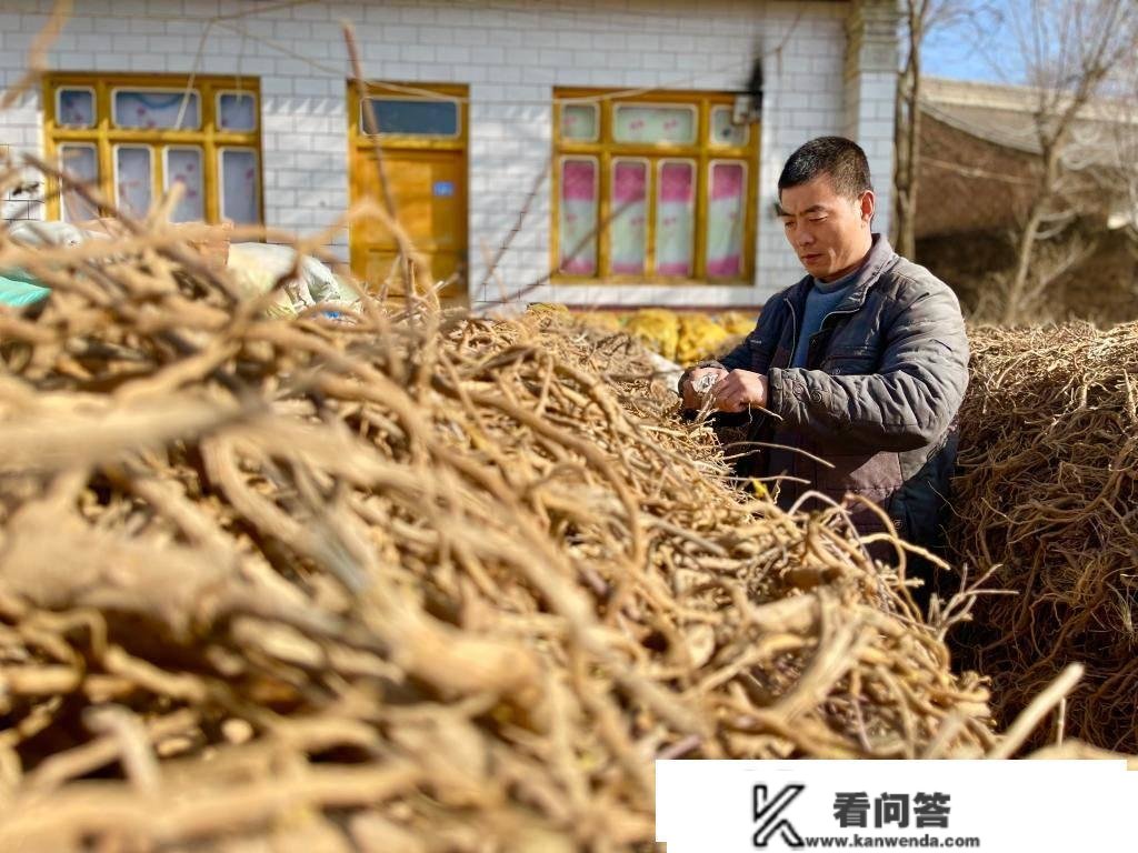 新春走下层丨“90后”返乡，村子又“活”起来了！