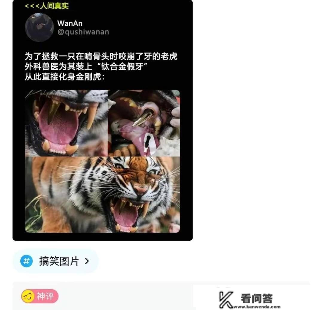 主管拿了台新电脑，她给了我旧的，我拿回家翻开视频库