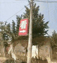 搞笑GIF：那马的待遇实好，住着奢华单间