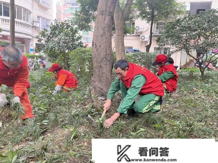 修复道路、补种绿植…… 江津“津管家”上门办事让小区情况面目一新