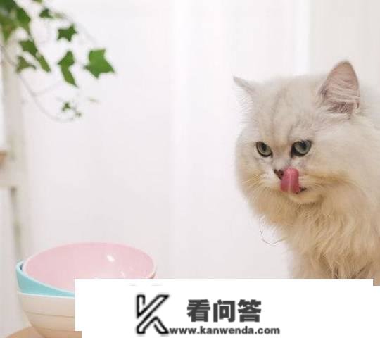 猫用了我的杯子我还能用吗？能够和猫咪共用餐具吗