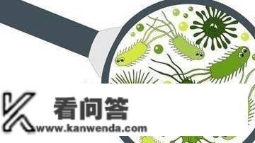 空气净化器实能消毒？利诱了良多人，看完你就懂了