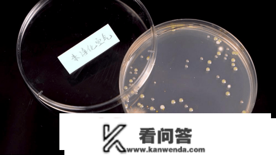 万元级空气净化器强在哪里？四款旗舰产物全性能实测（图文）