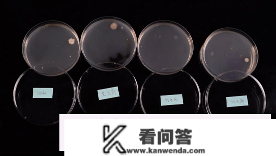 万元级空气净化器强在哪里？四款旗舰产物全性能实测（图文）