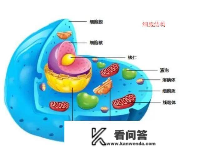 大海到底有多可怕？发作在海洋里的诡异危险，足以让人“胆寒”