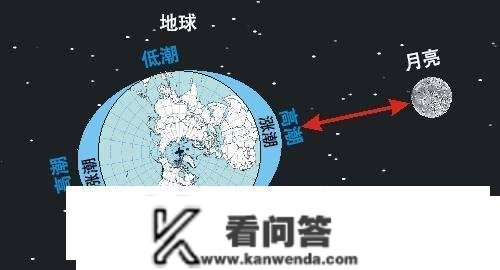 大海到底有多可怕？发作在海洋里的诡异危险，足以让人“胆寒”