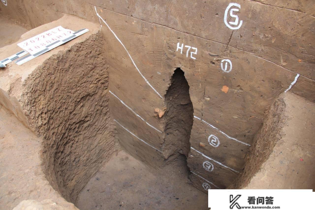 距今7800~7400年 安阳八里庄遗址新挖掘填补了豫北地域新石器时代中期文化空白