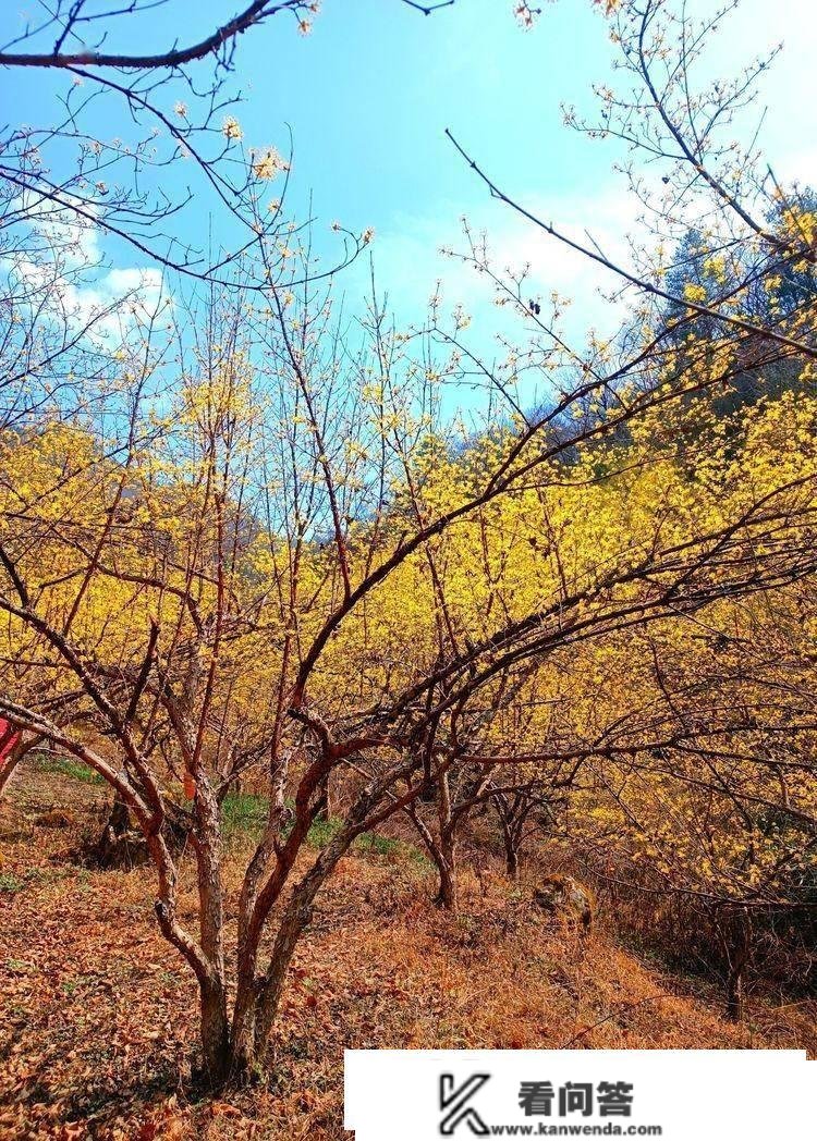 佛坪，一路生花