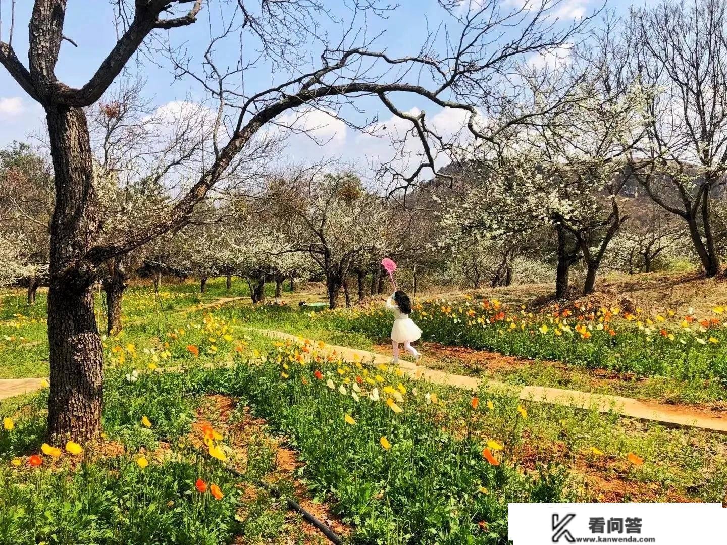 小寡周边，昆明版莫奈的花园，太美啦！