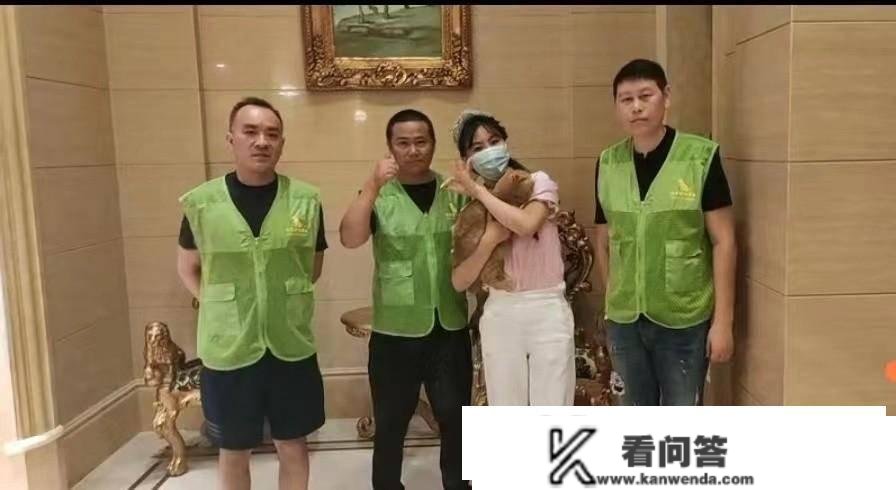 我20岁买房买车，在被内卷后不测发现商机，帮人找回上千隻狗猫