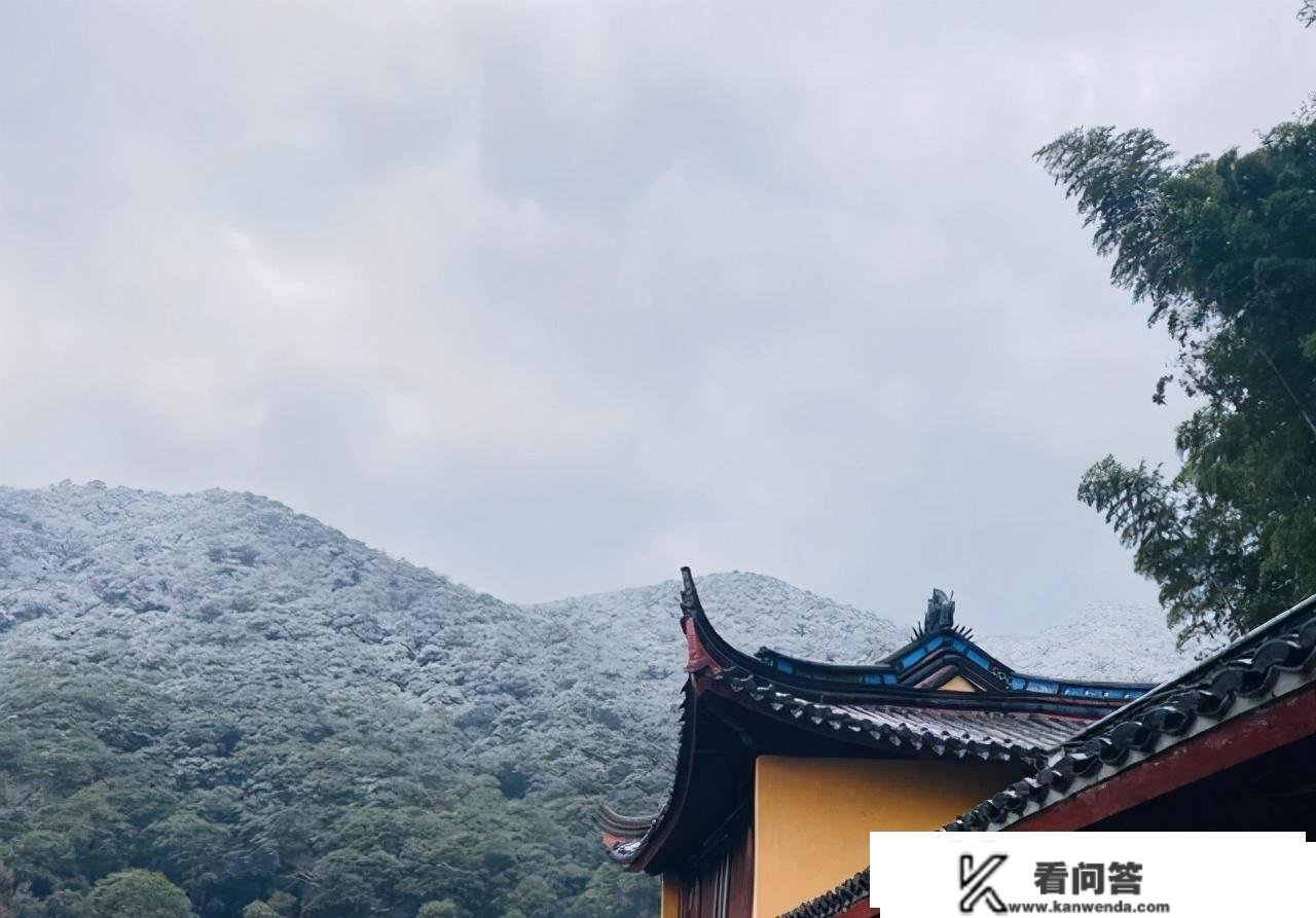 浙江“巨无霸”寺庙，房屋有999间，比灵隐寺静谧却免费开放