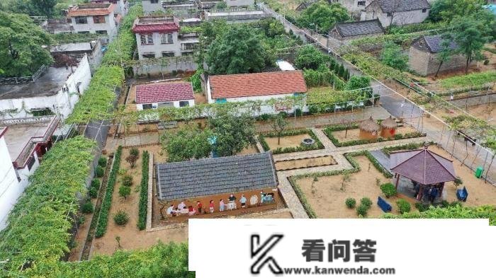 特色财产助推鲁南枣庄“空心”山村旧貌换新颜