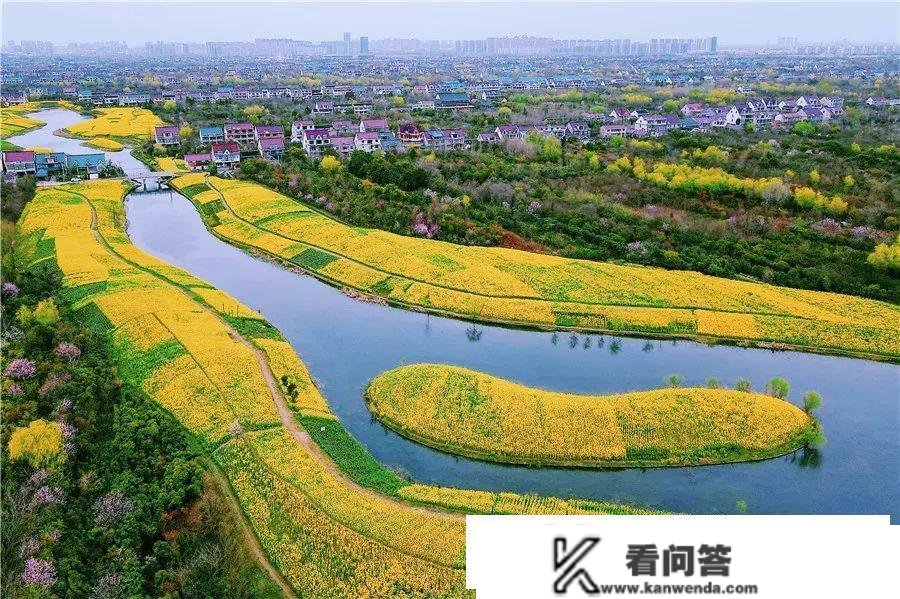 江苏24小时·滚动推送 | 如皋市：田园处处皆美景 斑斓村落入画来