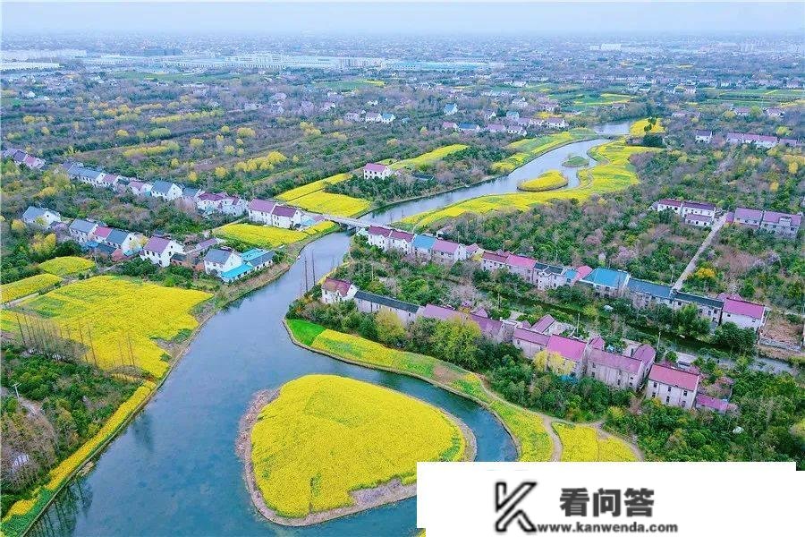 江苏24小时·滚动推送 | 如皋市：田园处处皆美景 斑斓村落入画来